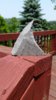 20150610_131545.jpg