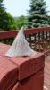20150610_133231.jpg