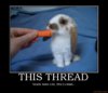 this-thread-bunny-demotivational-po.jpg