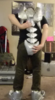 vlcsnap-2016-01-24-19h37m52s13.png