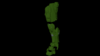 leg and foot.png