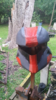 HqlREjx.png HqlREjx.png