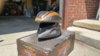 20160522_120248_HDR.jpg