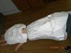 HandplateRightForearm.jpg