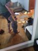 20190629_013952.jpg