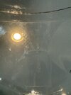 IMG_8187.jpeg