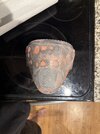 IMG_8186.jpeg