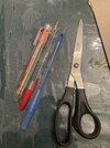 IMG_2773.jpeg IMG_2773.jpeg