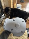 IMG_2160.jpeg