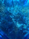 IMG_7525.jpeg