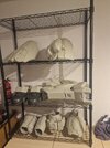 20250803_002021.jpg
