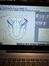 IMG_2169.jpeg