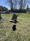 IMG_3903.jpeg
