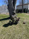 IMG_3910.jpeg