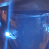Internal Lense.gif