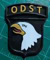 101st ODST.jpg