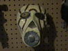 DSC01301.jpg