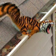 TigerHasGame