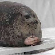 Bingles