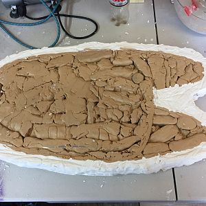 Foot #1 Clay Reveal