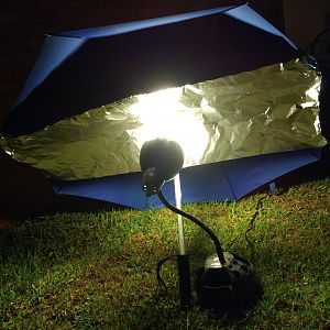 Umbrella Light Diffuser