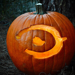 Halo pumpkin :0